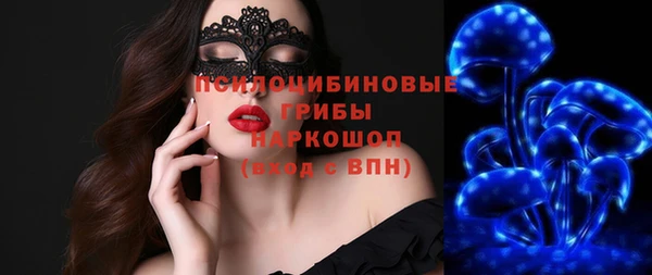 ПСИЛОЦИБИНОВЫЕ ГРИБЫ Покров