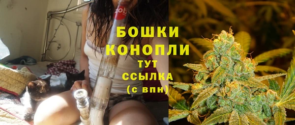 ПСИЛОЦИБИНОВЫЕ ГРИБЫ Покров