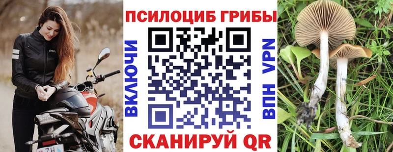 Псилоцибиновые грибы ЛСД  Новотитаровская 